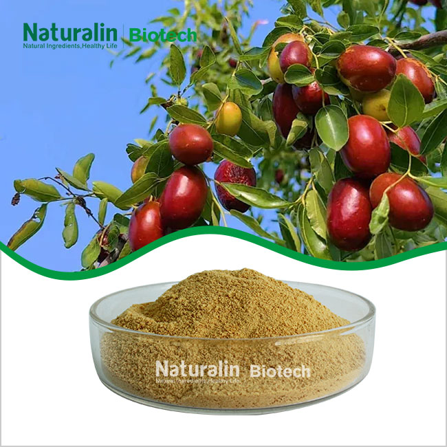 Ziziphus Jujuba Seed Granules Ziziphus Jujuba Seed Granules